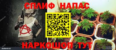 MDMA Новозыбков