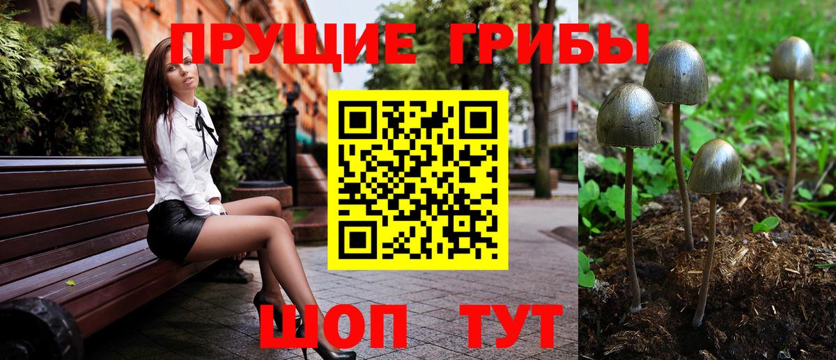 Сургут  купить закладку  Вход с VPN  Псилоцибиновые грибы GOLDEN TEACHER 